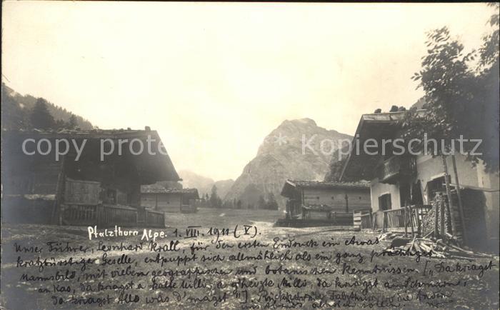 Schwaz Tirol Pfalzthurn Alpe