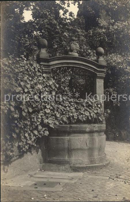 Eltville Rhein Alter Brunnen Park