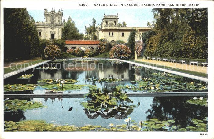 San Diego California Water Lilies in Lagoon Balboa Park
