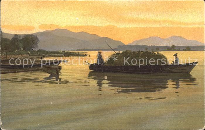 Chiemsee Bayern Photochromie No 2124 Serie 95 Frauenchiemsee Boot Alpen