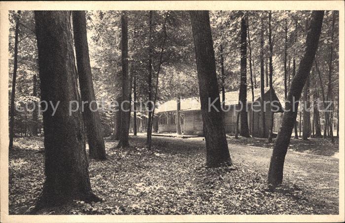 Zuerichberg ZH Waldhuesli Spielwiese Wald Verschoenerungsverein Zuerich