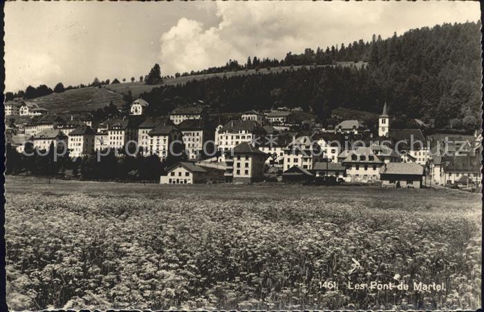 Les Ponts-de-Martel Vue generale