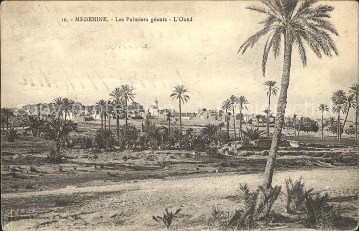 Medenine Djeffera Les Palmiers geants l'Oued