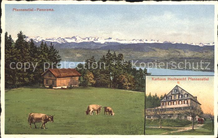 Pfannenstiel Staefa Panorama Kuehe Alpen Kurhaus Hochwacht