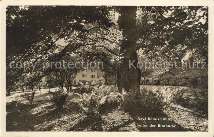 Raemismuehle Asyl unter der Blutbuche