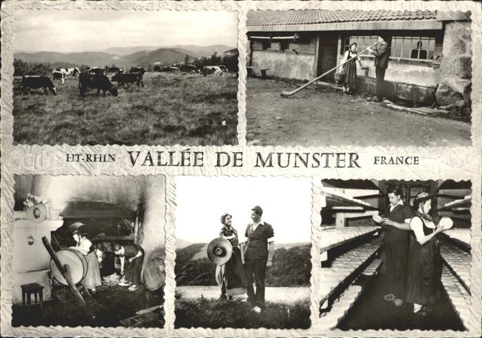 Munster Haut Rhin Elsass Chez les Marcaires de la Vallee de Munster Kaeseprodukt