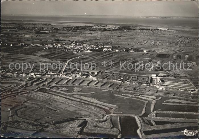 Ile d Oleron Vue aerienne
