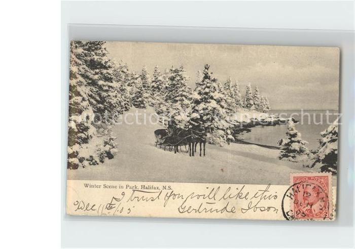 Halifax Nova Scotia Winter Scene in Park Pferdeschlitten