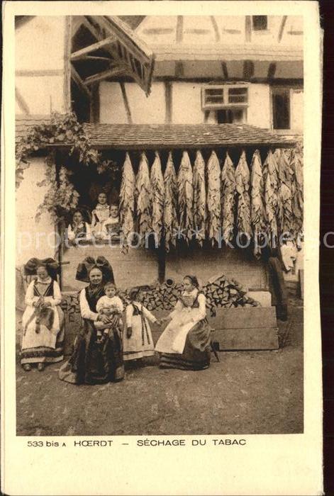 Hoerdt Sechage du Tabac Costumes Collection Alsace Trachten