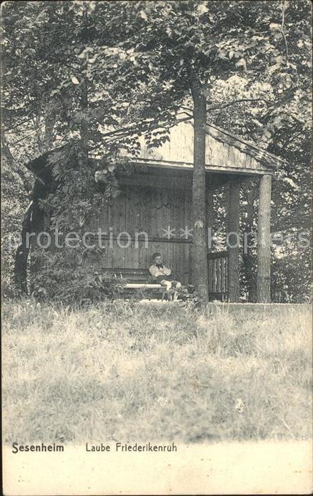 Sesenheim Laube Friederikenruh