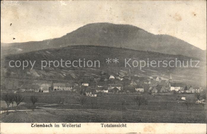 Triembach-au-Val im Weilertal Totalansicht