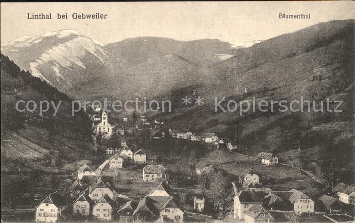 Linthal Elsass Panorama Vogesen Blumenthal