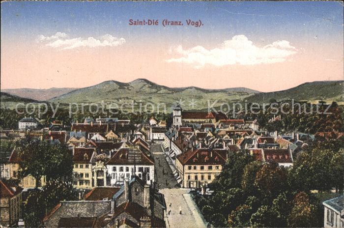 Saint-Die-des-Vosges Panorama