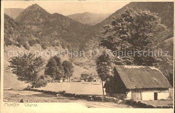 Munster Haut Rhin Elsass Partie im Tal der Wolmsa