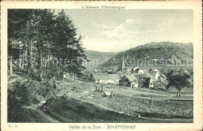 Schaefferhof Panorama Collection l'Alsace Pittoresqu