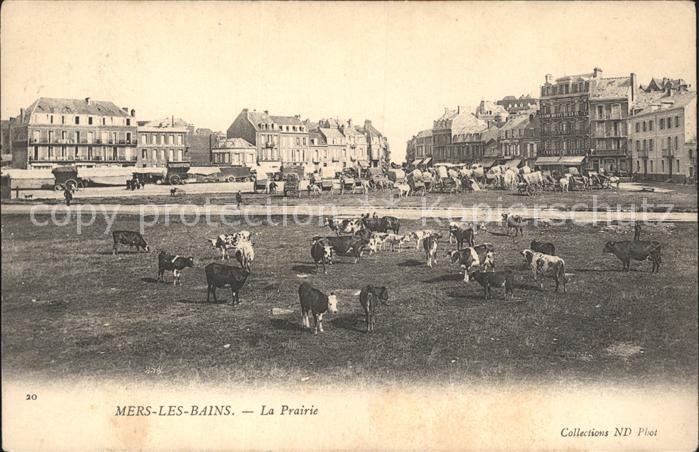 Mers-les-Bains La Prairie Vaches