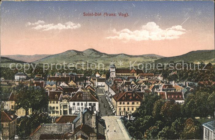 Saint-Die-des-Vosges Panorama