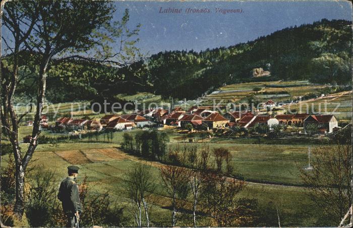 Lubine Vue generale et les Vosges