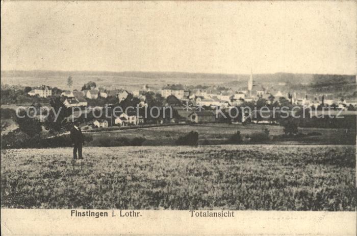 Finstingen Totalansicht