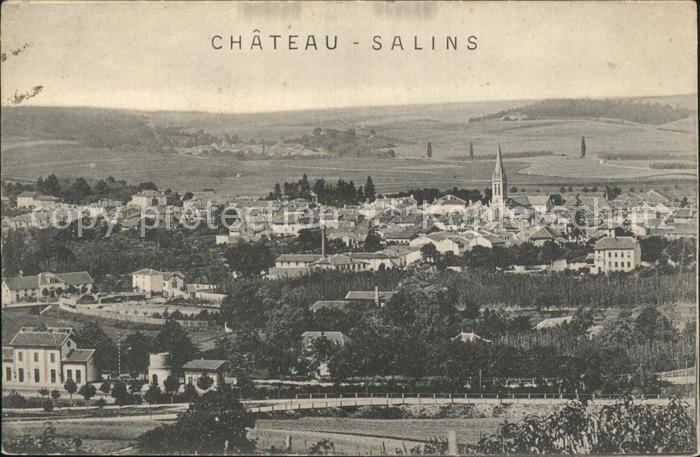 Chateau-Salins Panorama