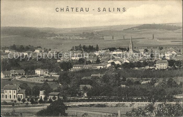 Chateau-Salins Panorama
