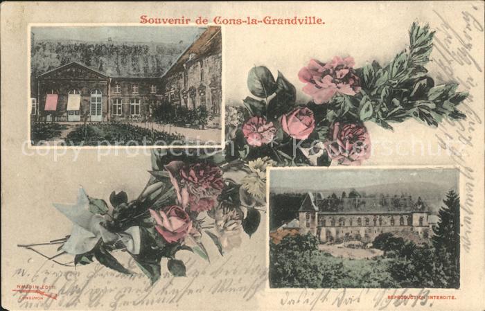 Cons-la-Grandville Teilansichten Blumen