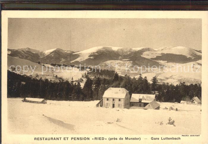 Ried Elsass Restaurant et Pension Winterpanorama Vogesen