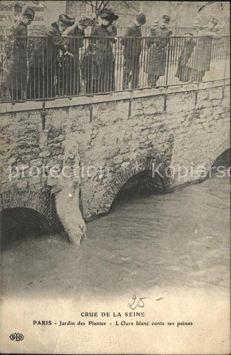 Paris Crue de la Seine Inondations Janvier 1910 Jardin des Plantes Hochwasser Ka
