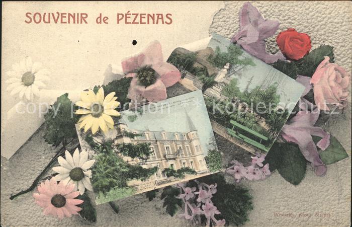 Pezenas Grange des Pres Chateau Parc Fleurs