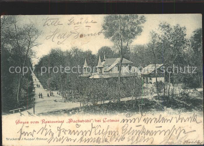 Colmar Haut Rhin Elsass Restaurant Dachsbuehl
