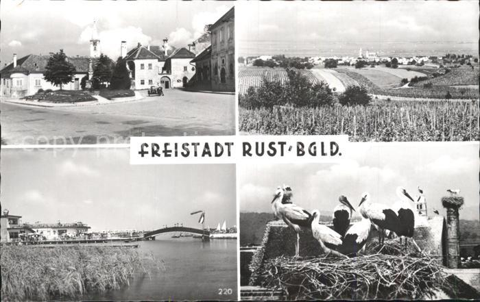 Rust Burgenland Brücke Storchennest