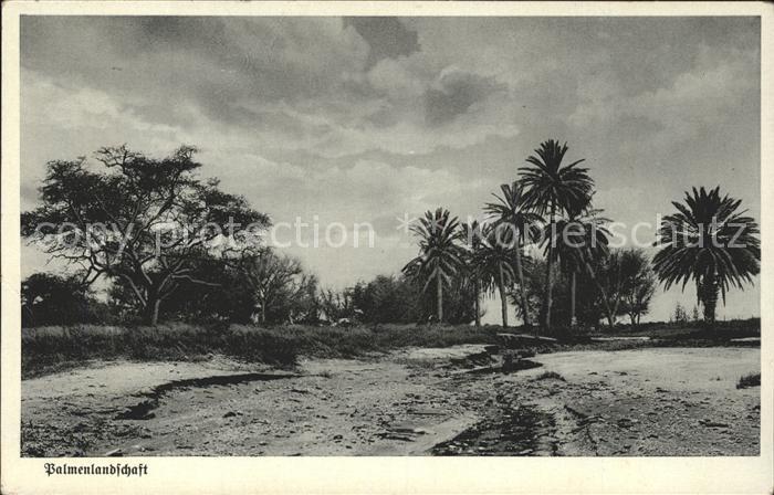 Afrika Africa Afrique Volksleben Typen Palmenlandschaft