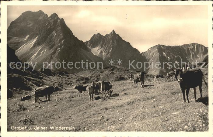 Widderstein Oesterreich Grosser Kleiner Widderstein Kuehe