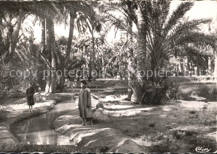 Biskra Palmiers Oasis