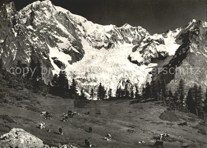 Courmayeur Monte Bianco