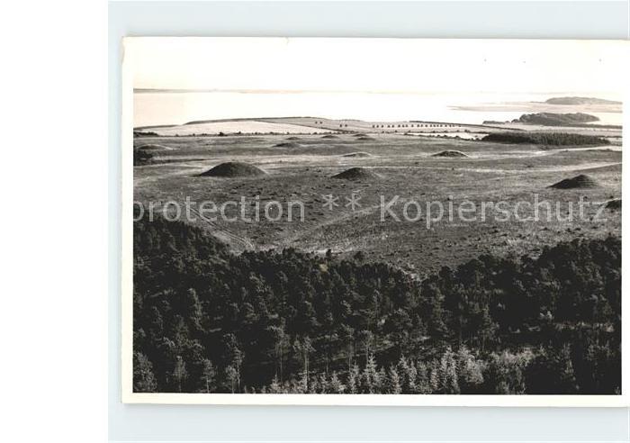 Oldtidshojene ved ydby