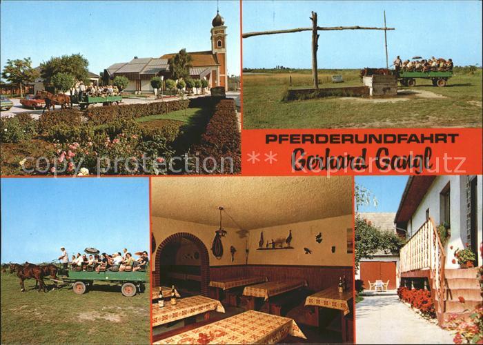 Illmitz Pferderundfahrten Gerhard Gangl Weinstube