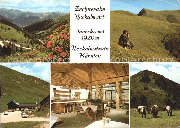Krems Kaernten Berggasthaus Zechneralm Gastraum Panorama Pferde