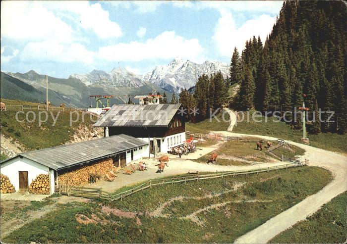 Heiterwang Heiterwanger Hochalm mit Zugspitze