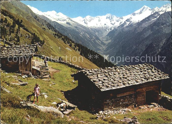 Mayrhofen Zillertal Filzenalm mit Hauptkamm und Gr Loeffler