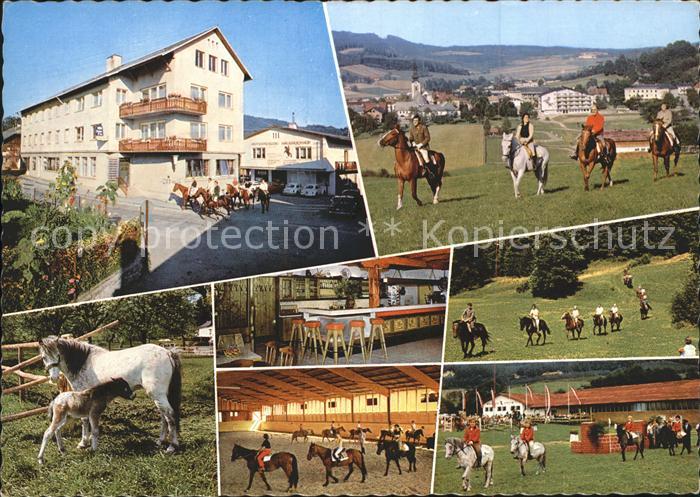 Ampflwang Hausruckwald Dorfpartie Reiter Reithalle Dressur