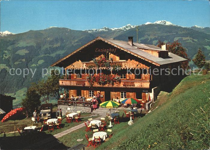 Zell Ziller Tirol Alpengasthof Enzianhof