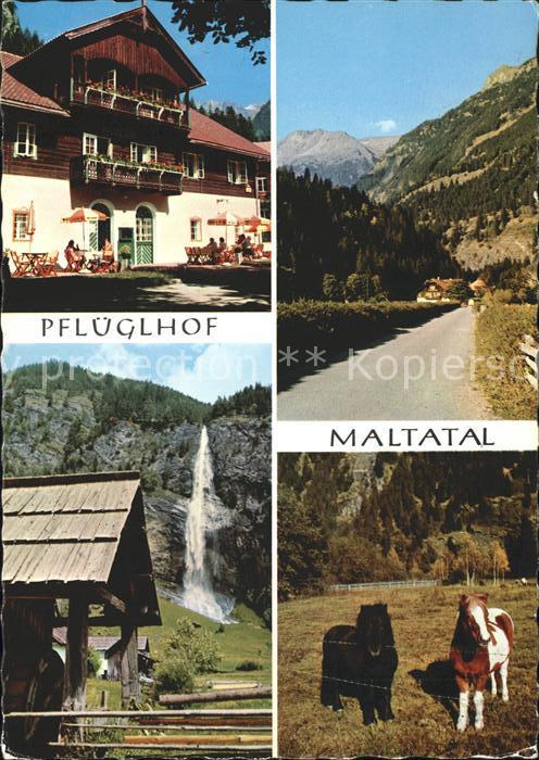 Millstatt Kaernten Pflueglhof Malatal  Wasserfall Muehle Ponys