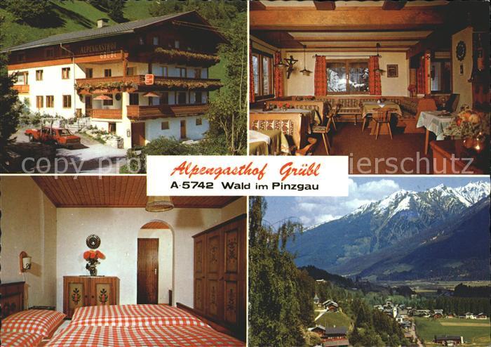 Wald Pinzgau Gasthof Gruebl Stube Zimmer Panorama