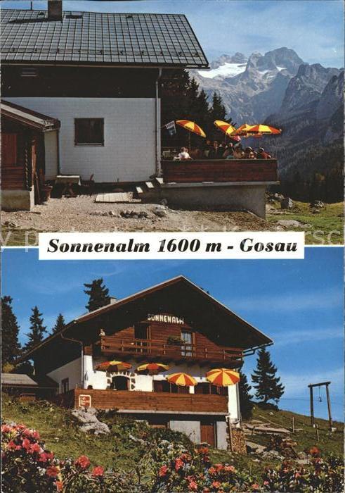 Gosau Oberoesterreich Berggasthof Sonnenalm Zieselalpe