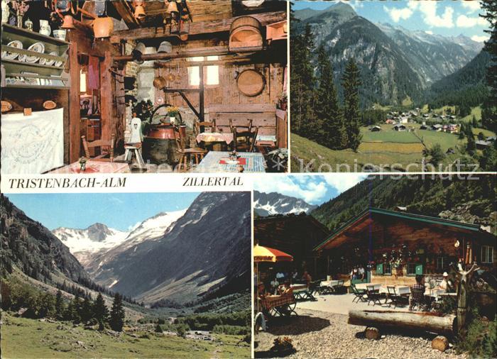 Ginzling Tristenbachalm in der Floite Gaststube Terrasse Panorama