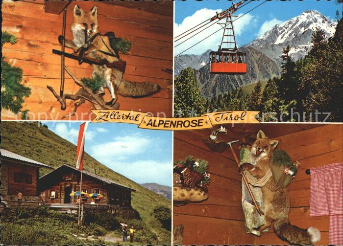 Mayrhofen Zillertal Jausenstation Alpenrose Seilbahn Ahornspitze Praeparierter F