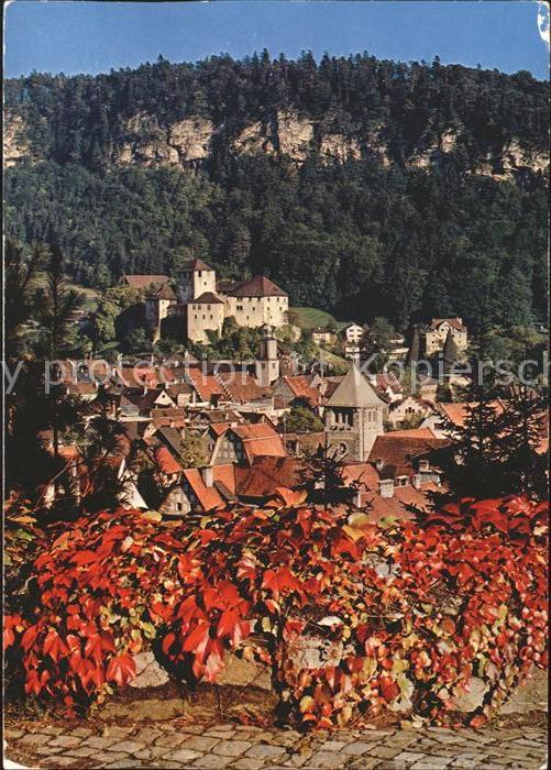 Feldkirch Vorarlberg Blick zur Schattenburg