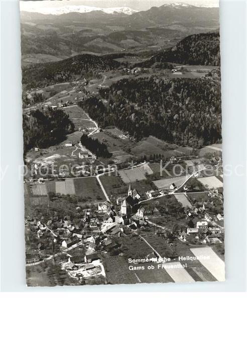 Gams Hieflau Fliegeraufnahme