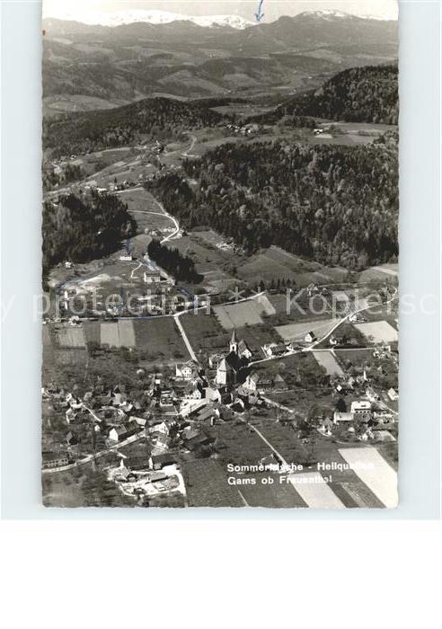 Gams Hieflau Fliegeraufnahme